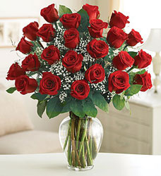 24 Premium Roses - You Choose Color from Clermont Florist & Wine Shop, flower shop in Clermont